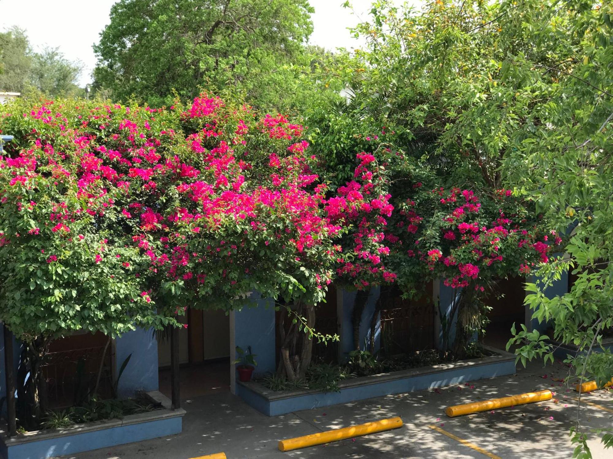Hotel Hacienda Del Viejo มาตาโมรอส ภายนอก รูปภาพ