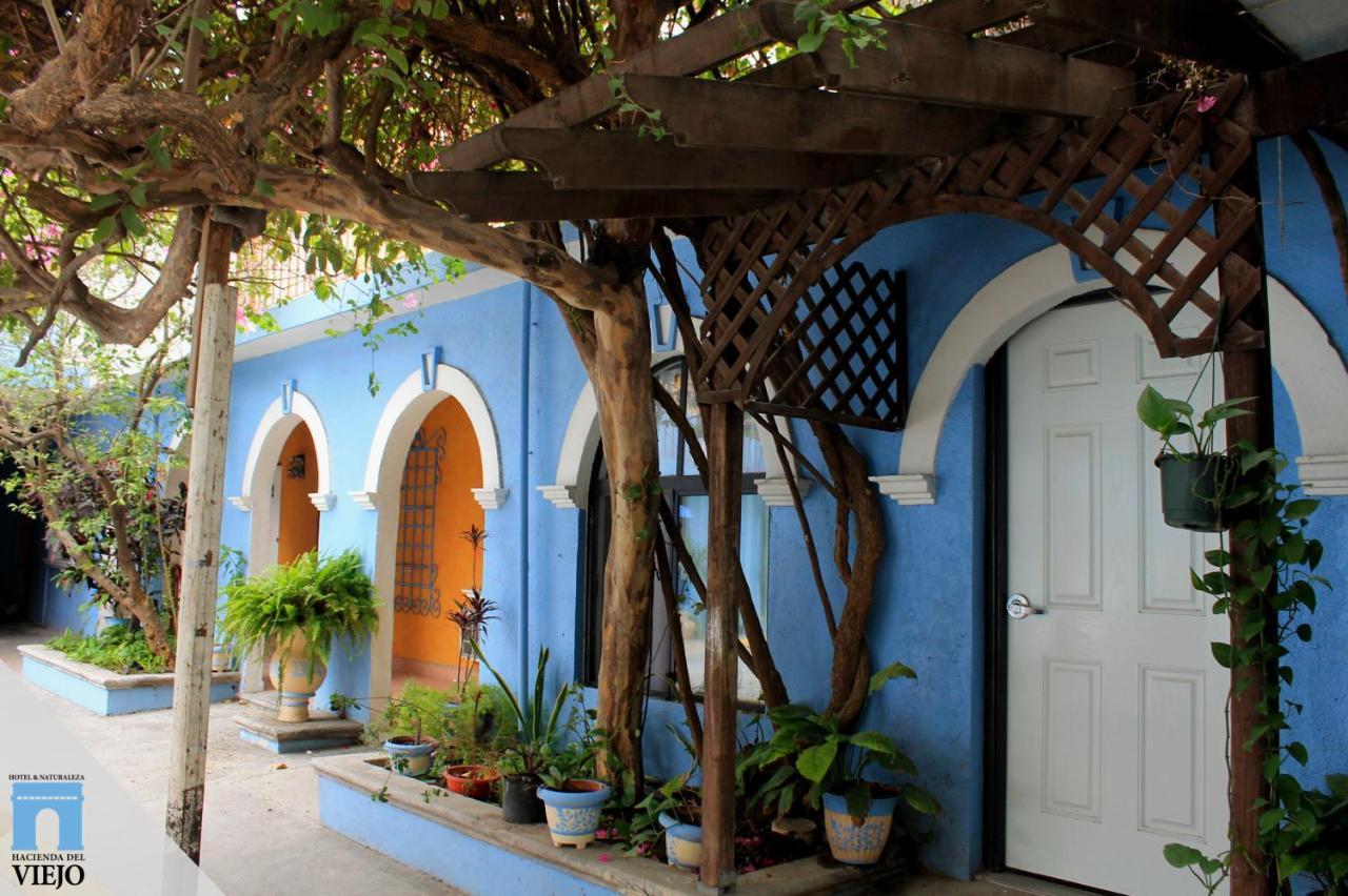 Hotel Hacienda Del Viejo มาตาโมรอส ภายนอก รูปภาพ