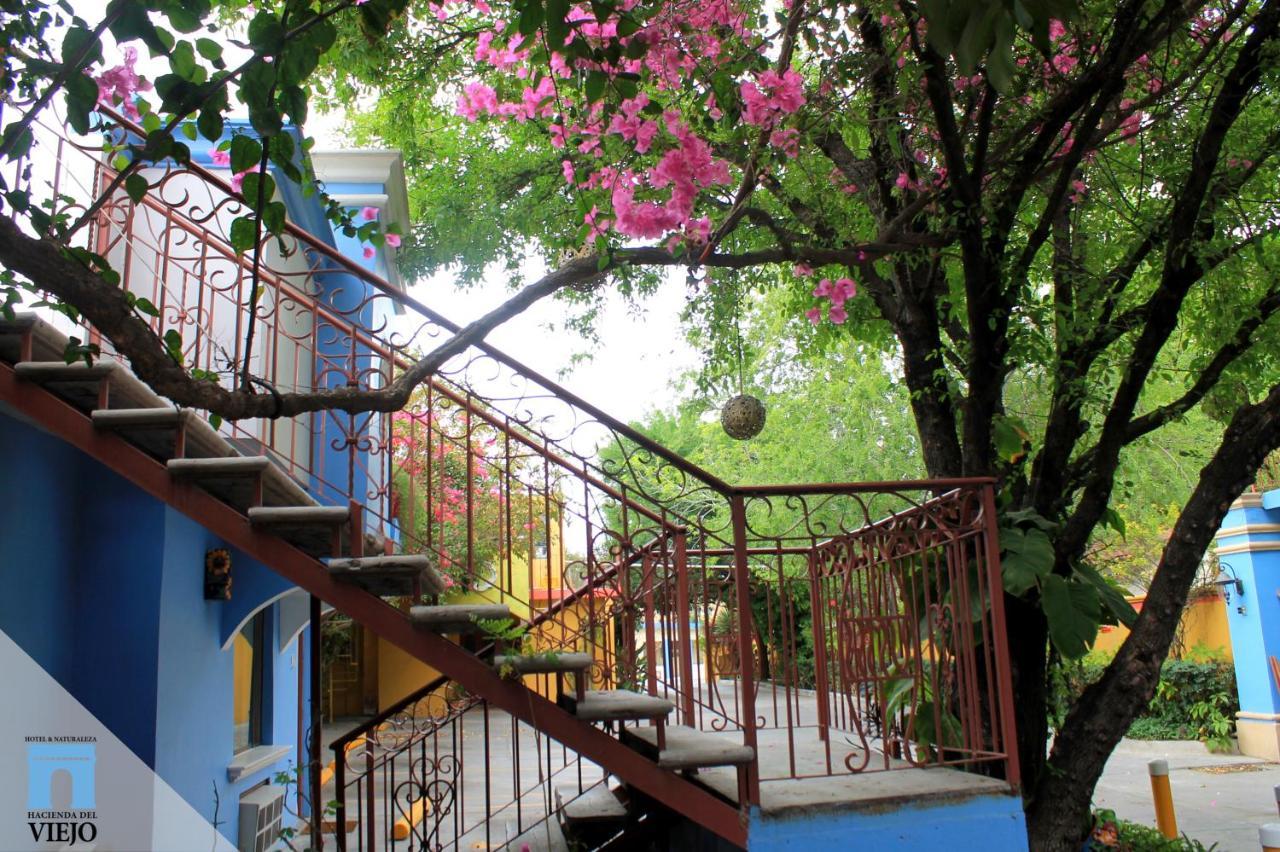 Hotel Hacienda Del Viejo มาตาโมรอส ภายนอก รูปภาพ