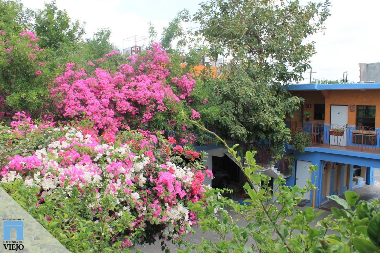 Hotel Hacienda Del Viejo มาตาโมรอส ภายนอก รูปภาพ